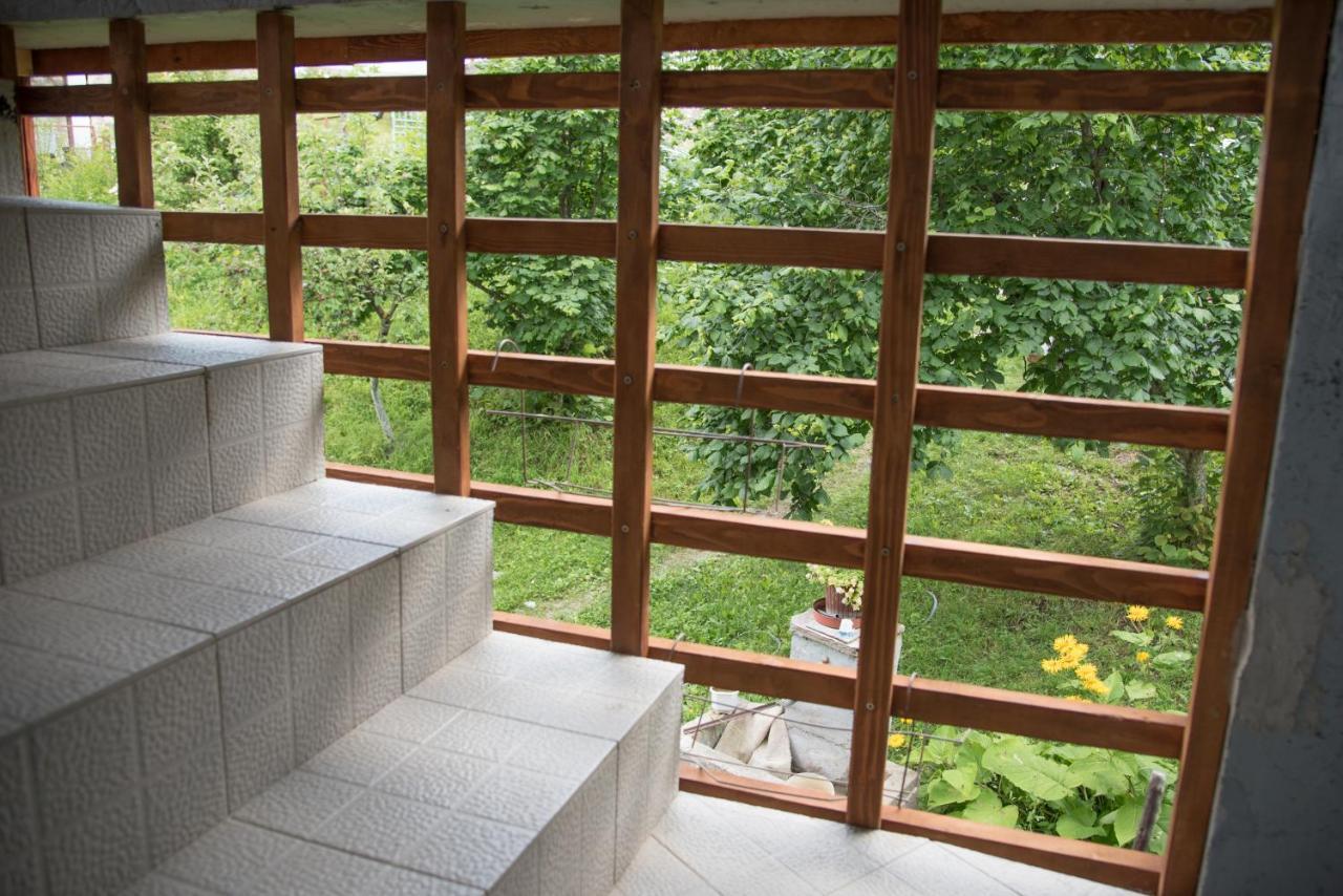 Yeti Guest House Mavrovo-Nationalpark Exterior foto